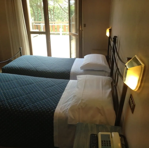 Deluxe Twin room with balcony and with garden view