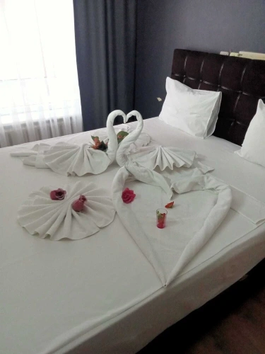 Classic Single room with city view