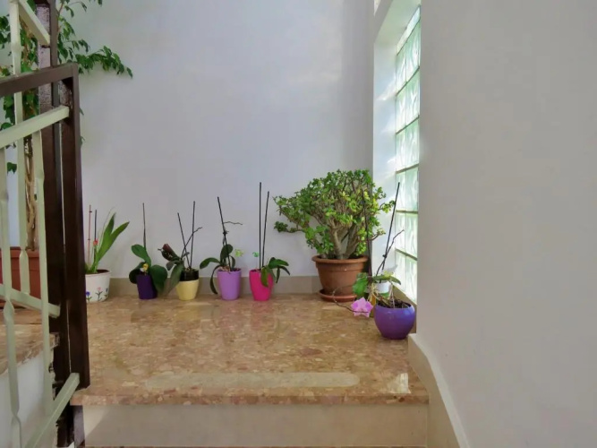 Apartment Nemira