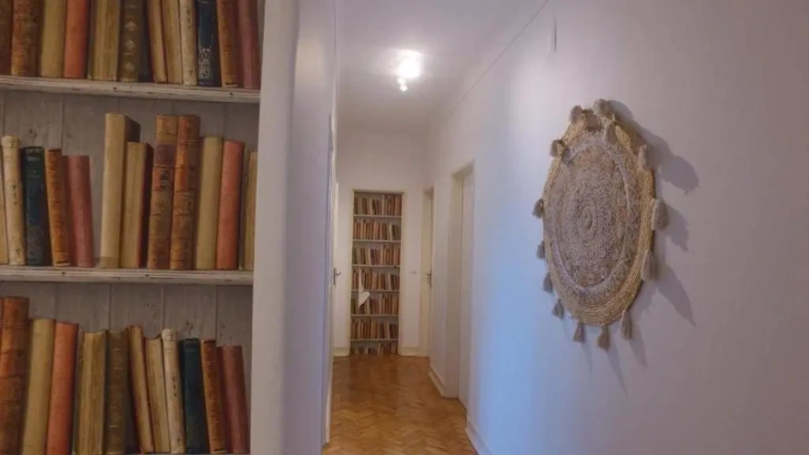 Standard Single room with view