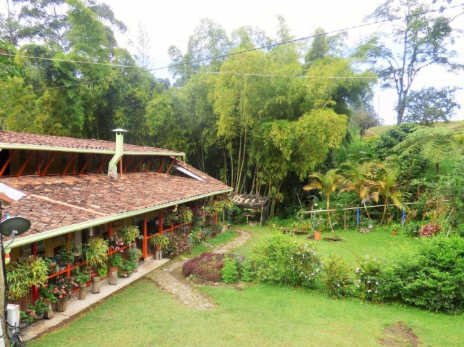 Standard Quadruple room with garden view