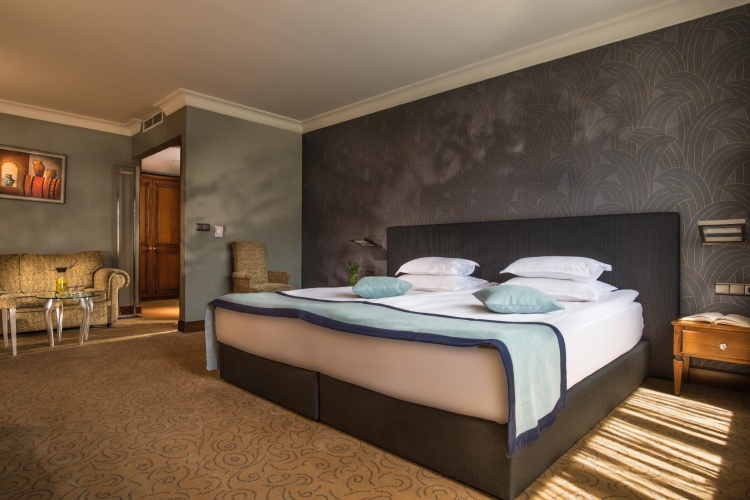 Superior Single room