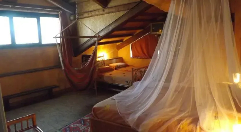 B&B Edera