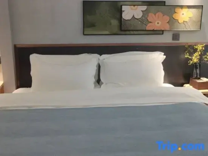 Comfort Family Suite