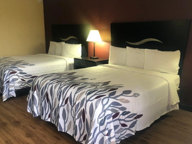 Superior Quadruple room