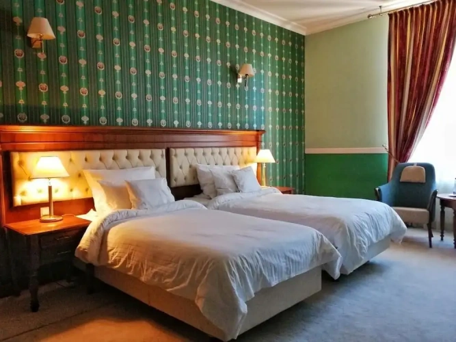 Deluxe Twin room with city view