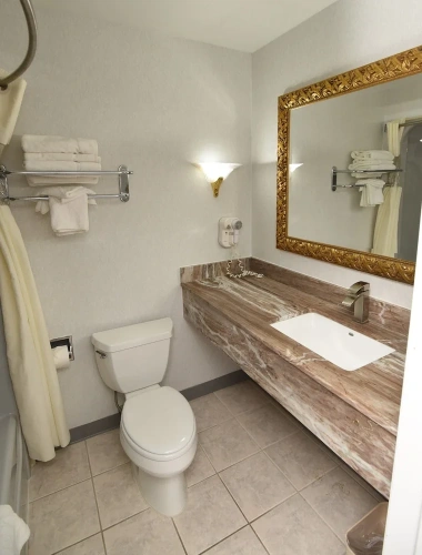 Deluxe Sextuple room