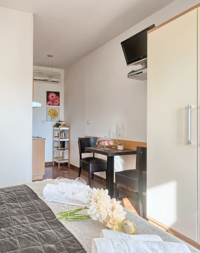 Standard Studio with balcony and with garden view