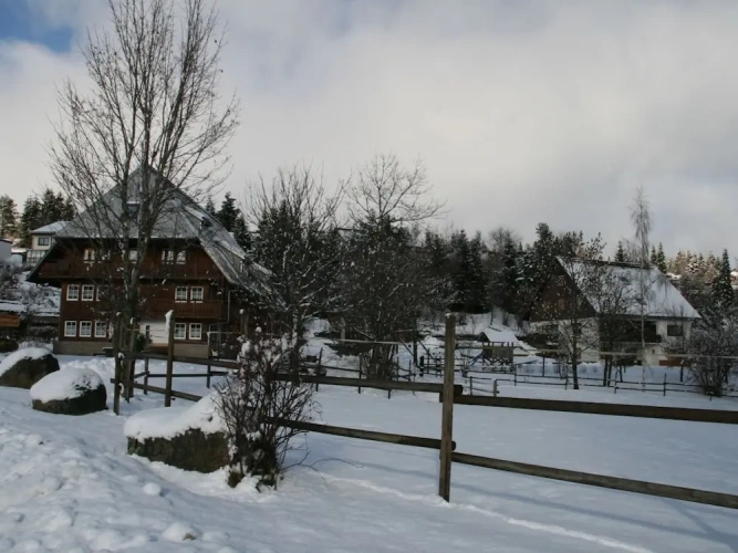 Cottage
