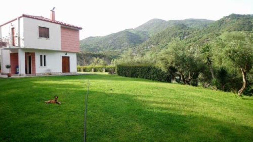 Outside