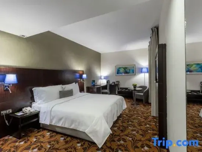 Standard Double room with balcony and with river view