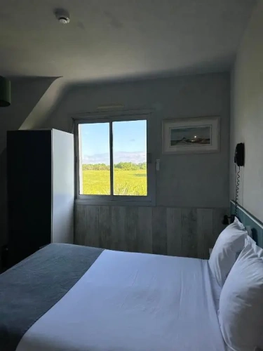 Standard Double room with garden view