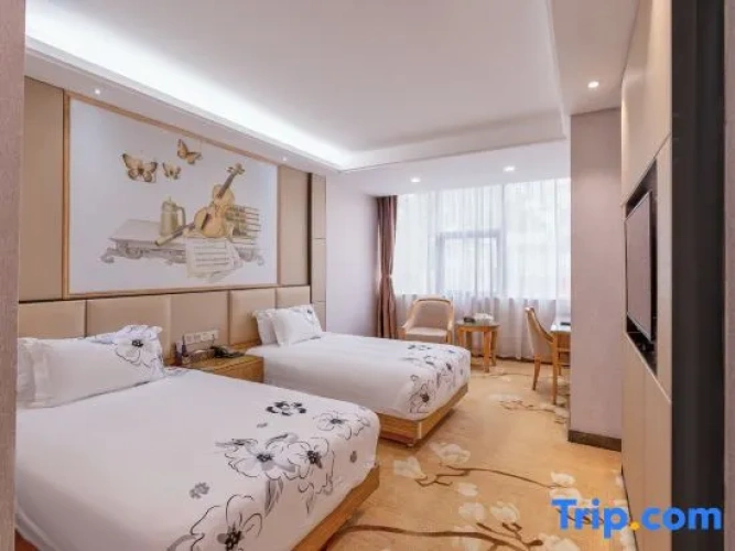 Deluxe Twin room with city view