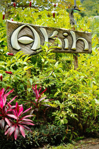 Hostel 7, Casa De Gingi