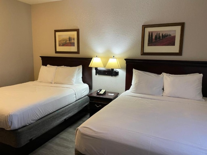 1 Bedroom Double Suite