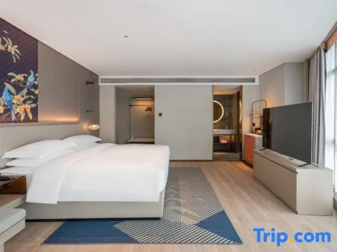 Deluxe Double room with city view