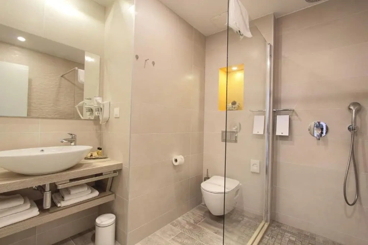 1 Bedroom Premium Suite with balcony and with sea view