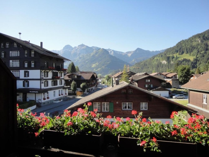 Standard Double room with balcony and with view