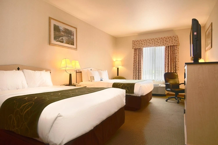 Guest rooms