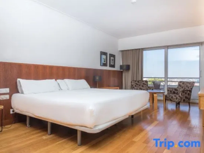 Premium Single room