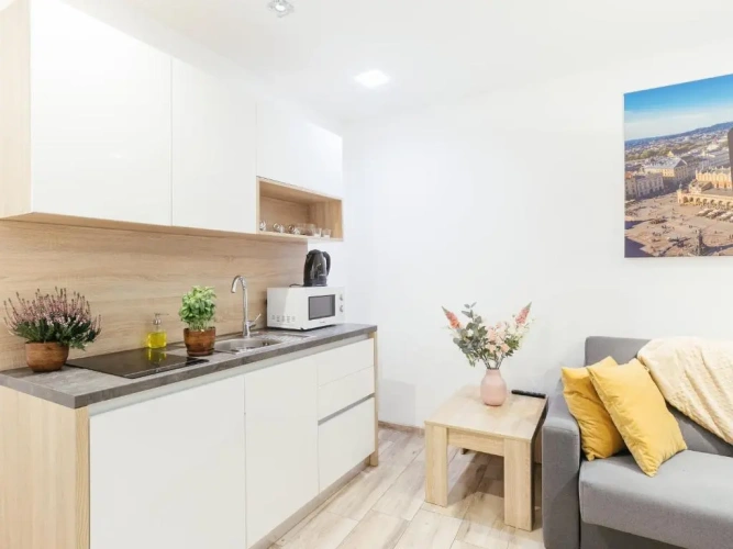 1 Bedroom Suite