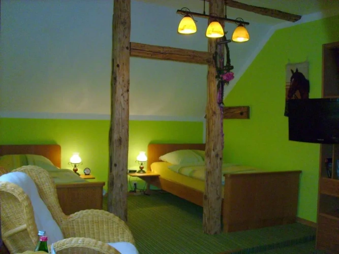 Deluxe Twin room