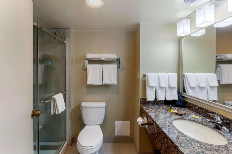 Best Western Plus Toronto Airport Hotel photo 9