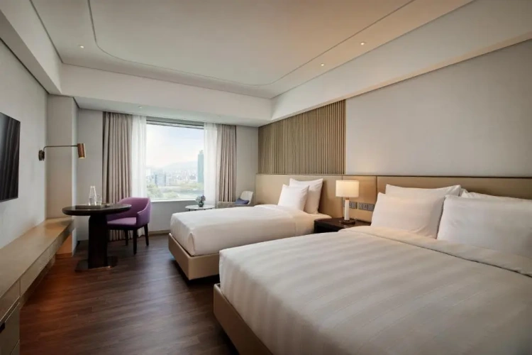 Deluxe Twin Family room