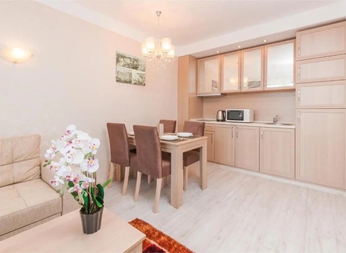 1 Bedroom Standard Apartment