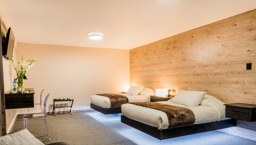 Hotel Viza