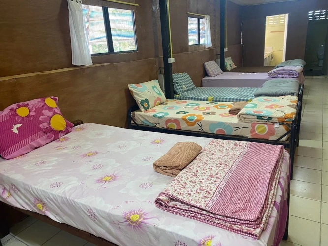 Bed in Dorm