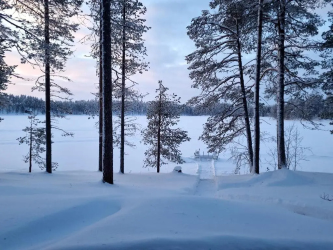 Villa Uuttu