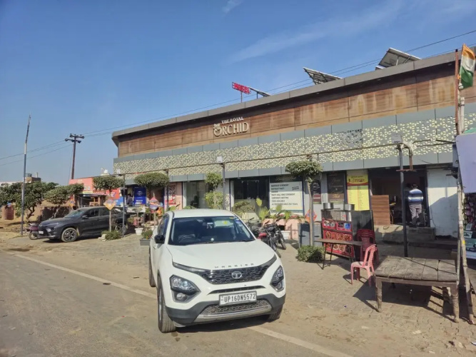 The Royal Orchid - Aligarh