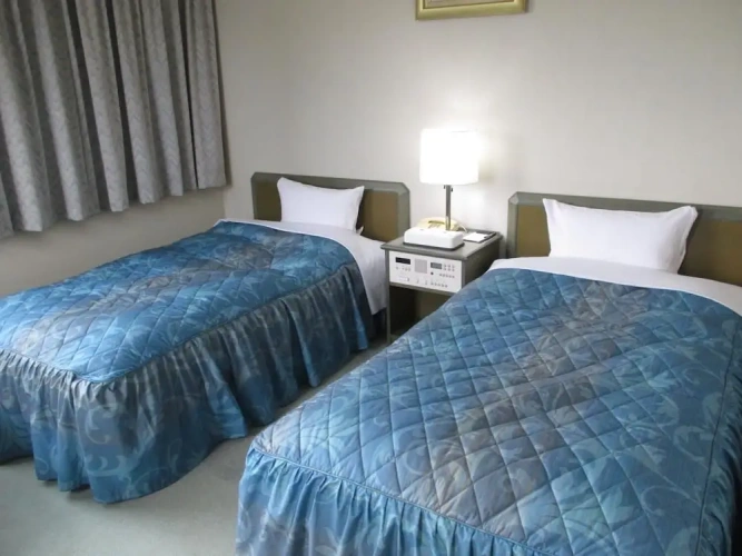Economy Twin room