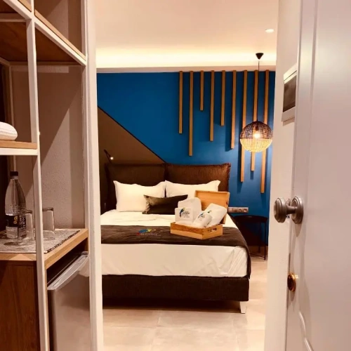 Deluxe Double room with garden view