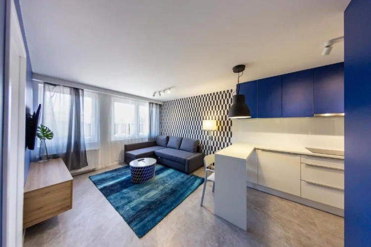1 Bedroom Apartment