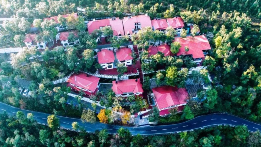 Surbee Resorts