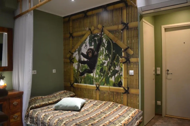 Standard Single room