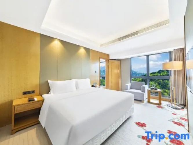 Luxury Penthouse Suite with view