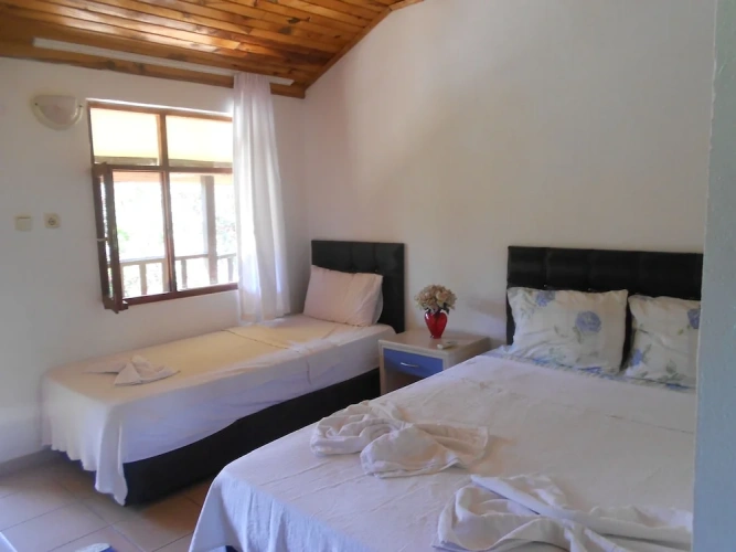 Standard Double room with balcony and with view