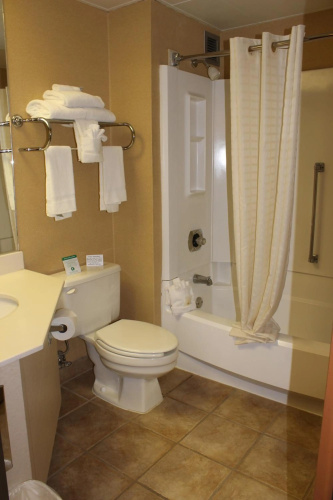 Quality Inn South Downtown photo 11