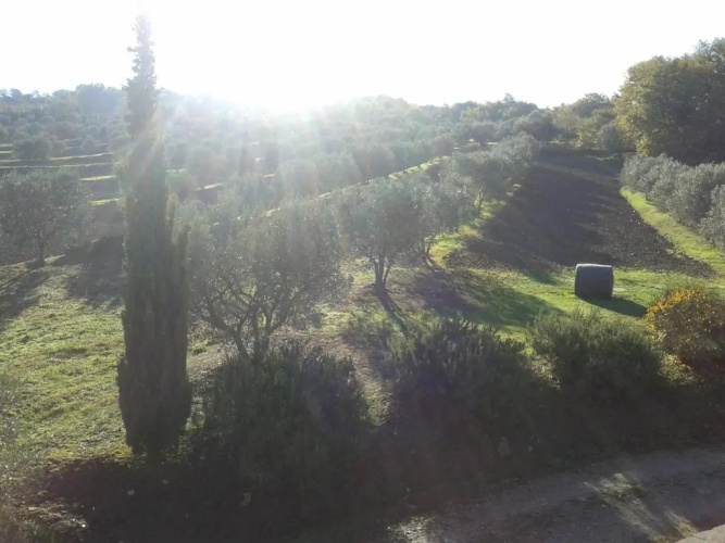 Agriturismo Barbi
