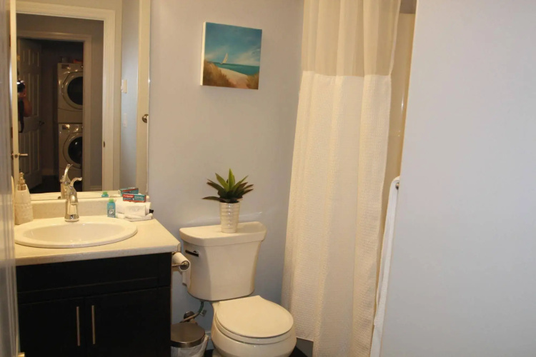 Elegant Suite