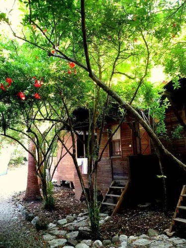 Economy Double room with garden view
