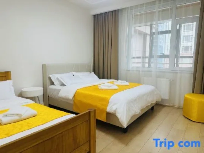 1 Bedroom Apartment