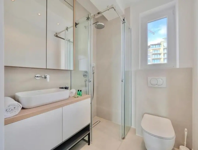 Deluxe Apartment