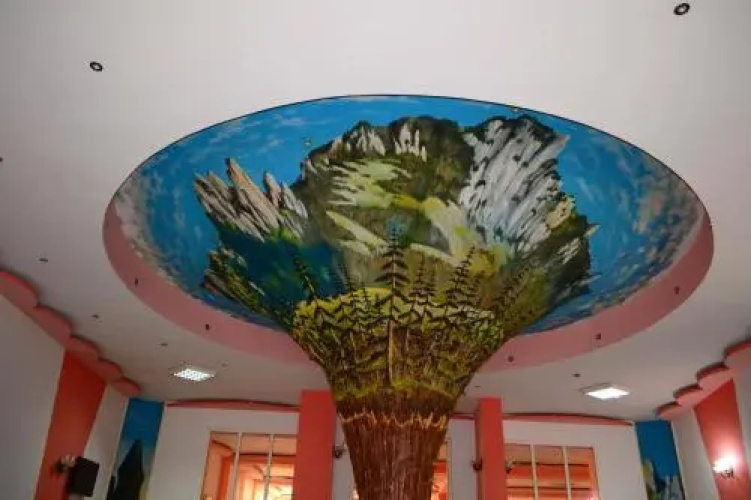 Hotel Bradul