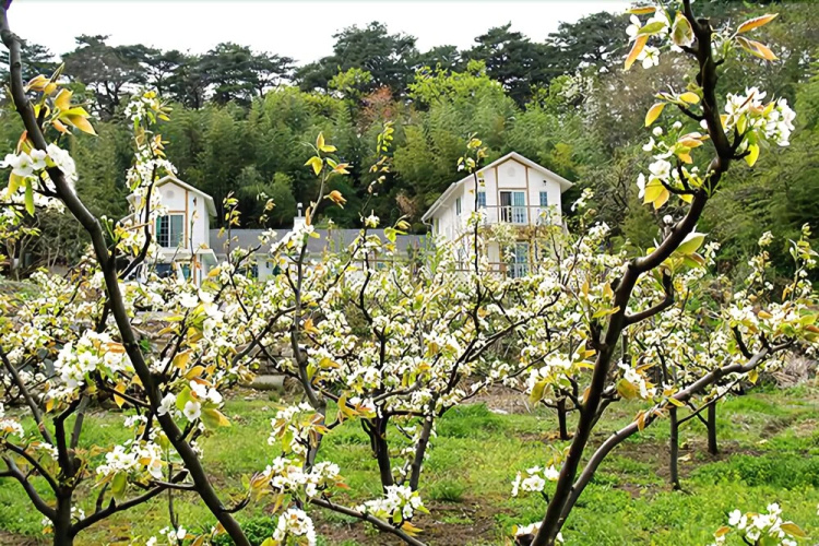 Yangyang Sea and Valley Pension