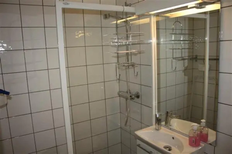 1 Bedroom Standard Apartment
