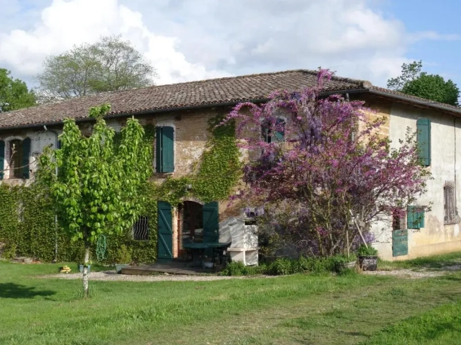Cottage